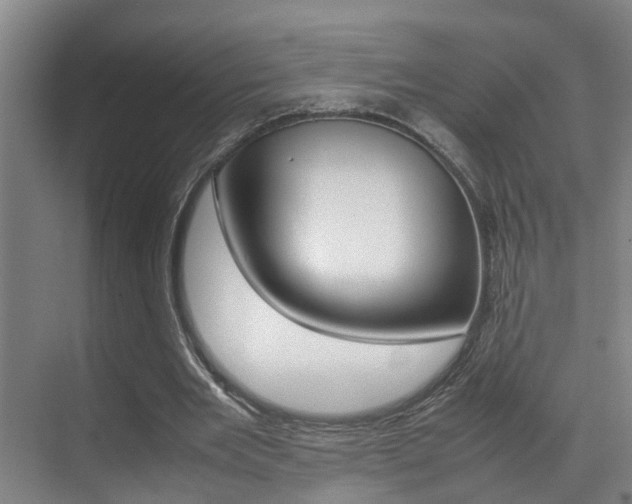 X0000070410485200606090959