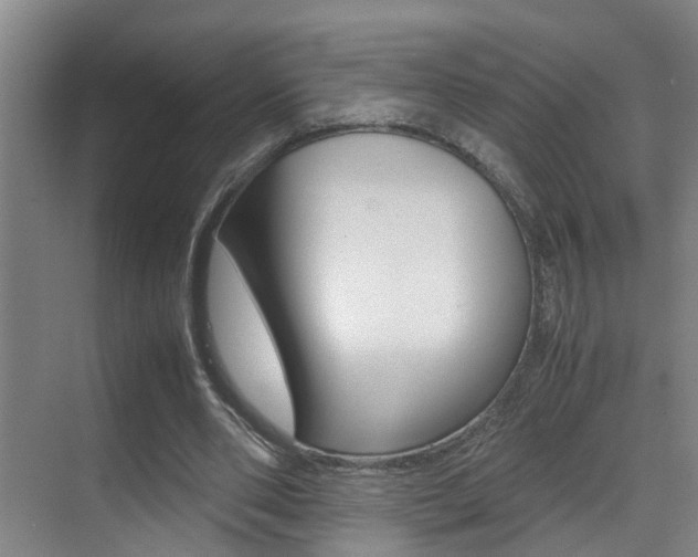 X0000070410486200606090959