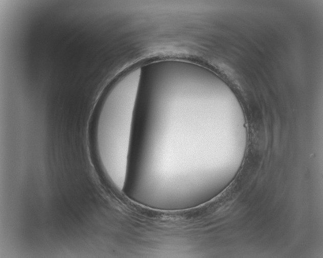 X0000070410487200606090959