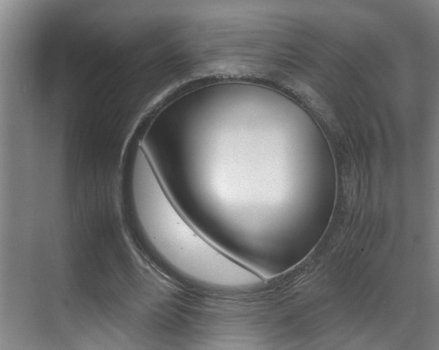 X0000070410488200606090959