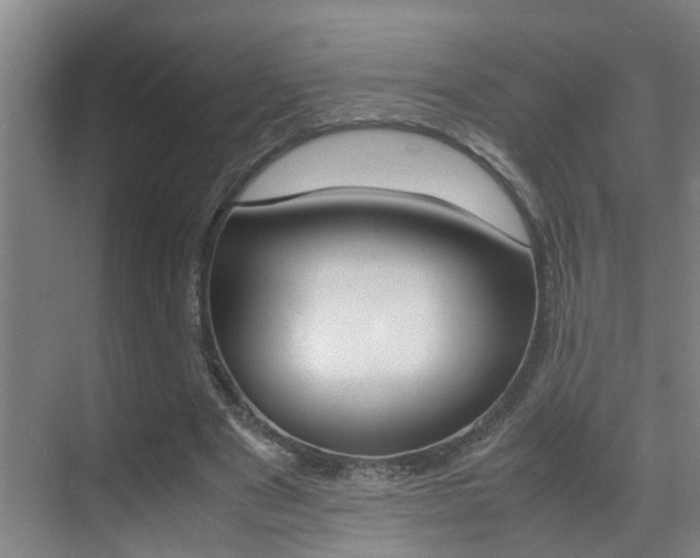 X0000070410489200606090959