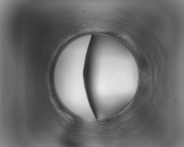 X0000070410491200606090959