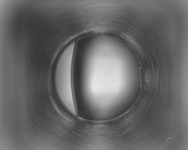 X0000070410492200606090959