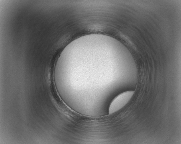 X0000070410494200606090959