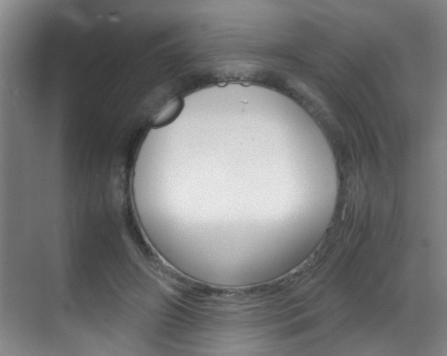 X0000070410498200606090959