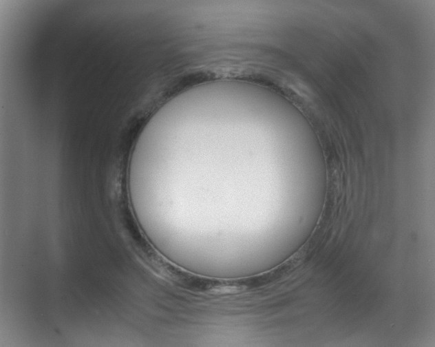 X0000070410499200606090959