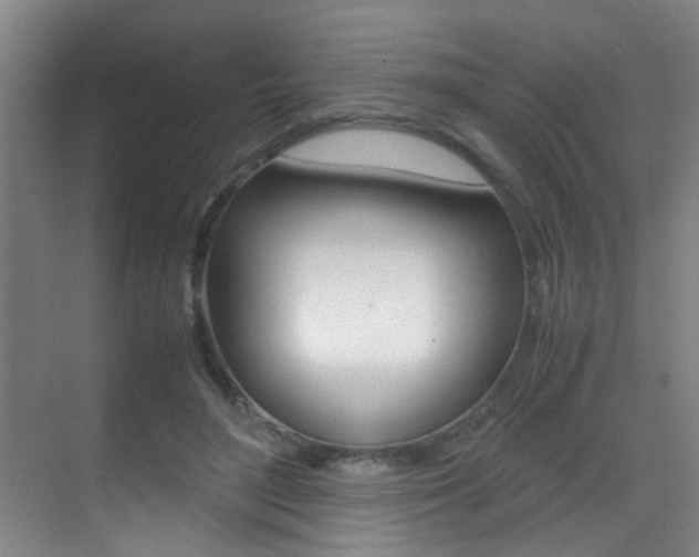 X0000070410500200606090959