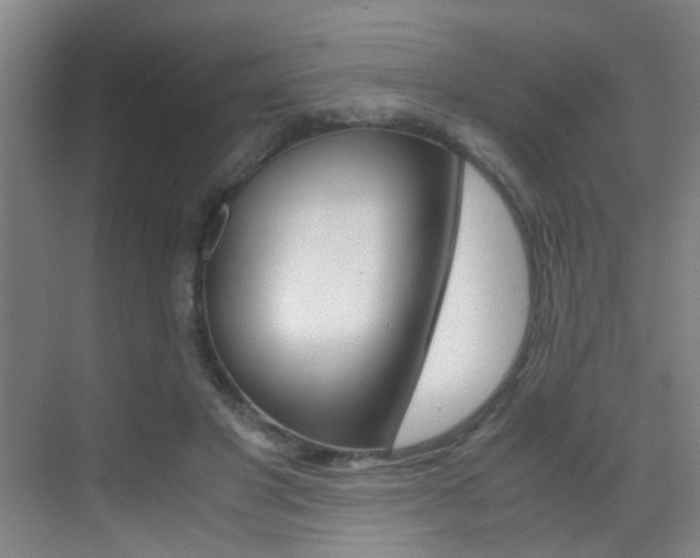 X0000070410501200606090959