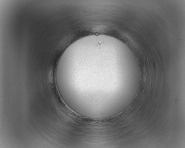 X0000070410502200606090959