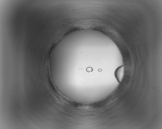 X0000070410503200606090959