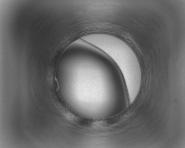 X0000070410505200606090959