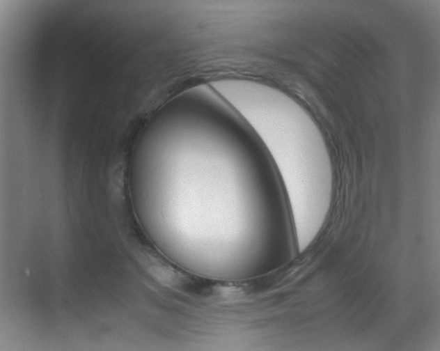 X0000070410509200606090959