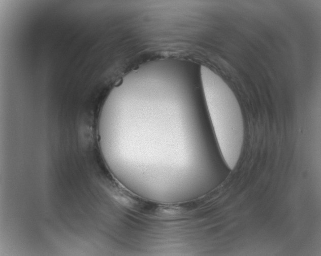 X0000070410510200606090959