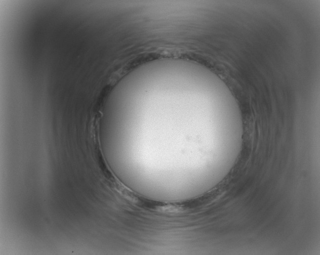 X0000070410511200606090959