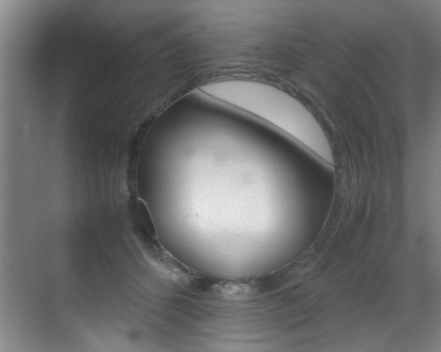 X0000070410512200606090959