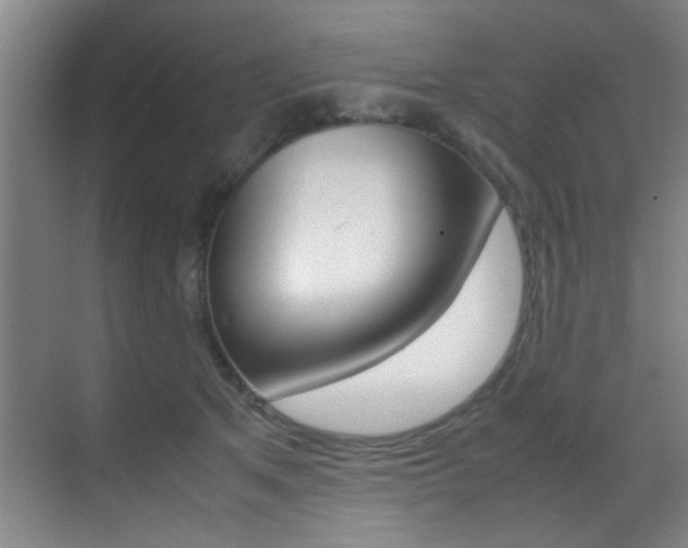 X0000070410513200606090959