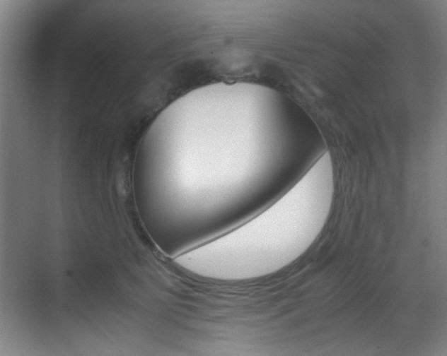 X0000070410515200606090959