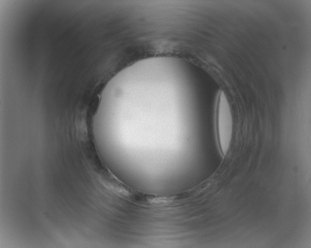 X0000070410516200606090959