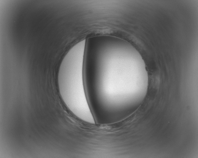 X0000070410517200606090959