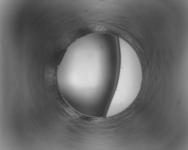 X0000070410521200606090959