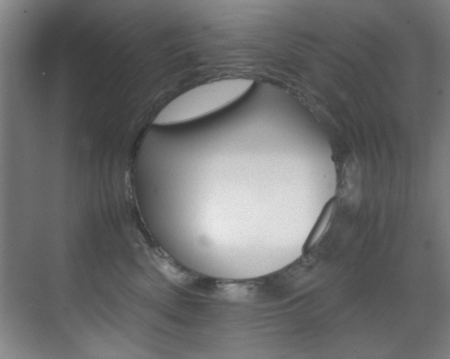 X0000070410522200606090959