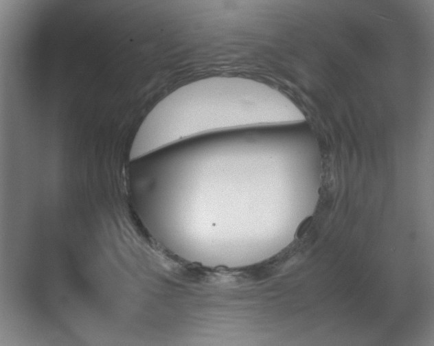 X0000070410523200606090959