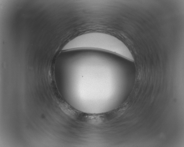 X0000070410524200606090959