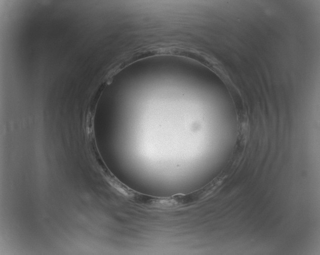 X0000070410525200606090959