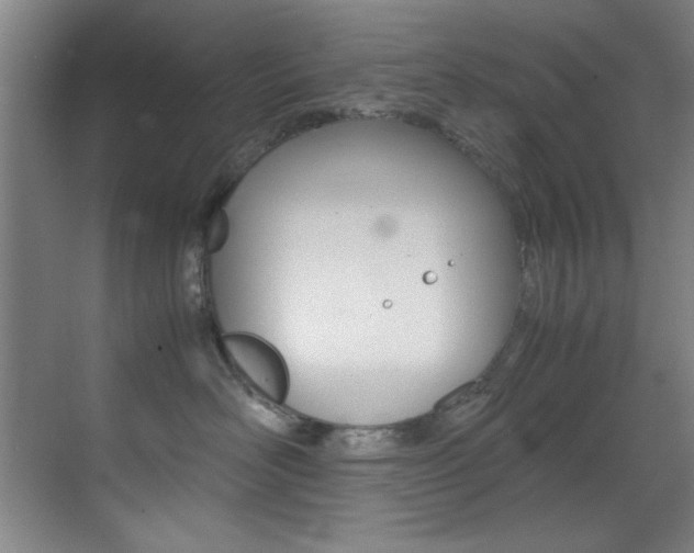 X0000070410526200606090959