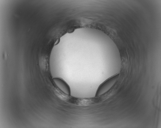 X0000070410527200606090959