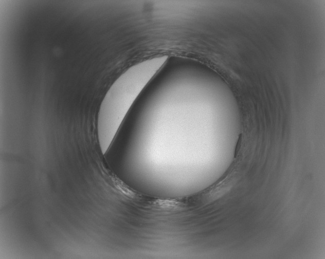 X0000070410528200606090959