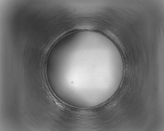 X0000070410529200606090958