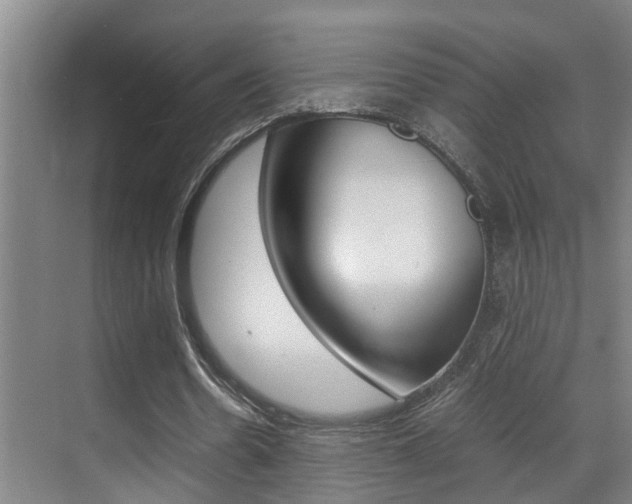 X0000070410530200606090958