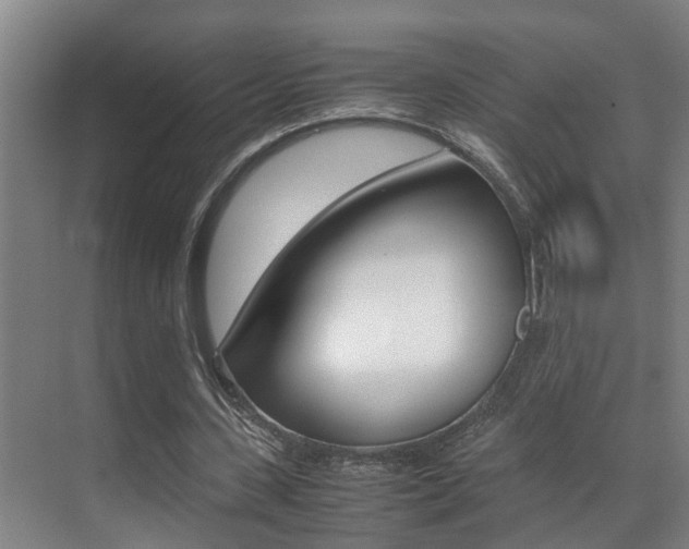 X0000070410531200606090958