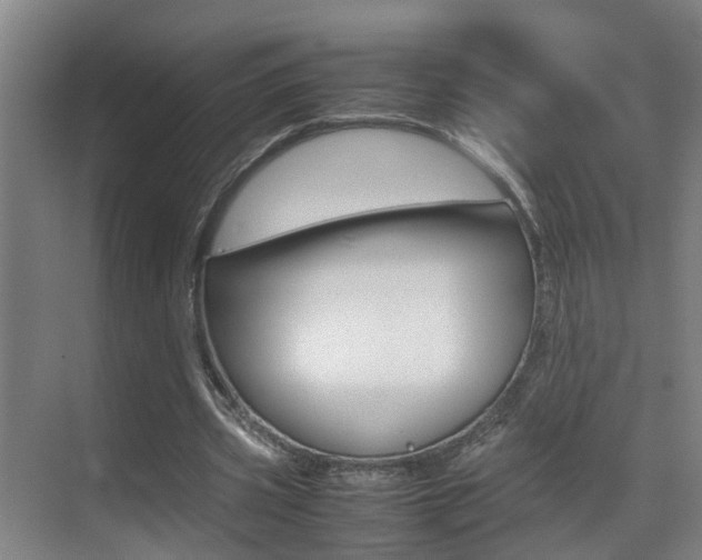 X0000070410533200606090958