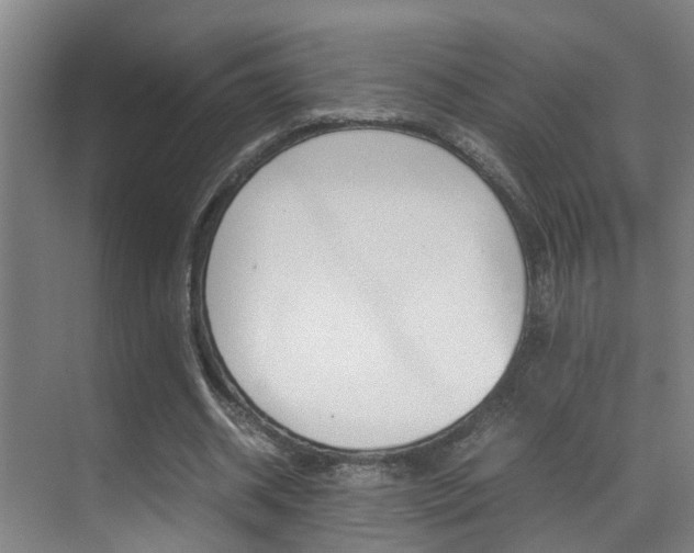 X0000070410534200606090958