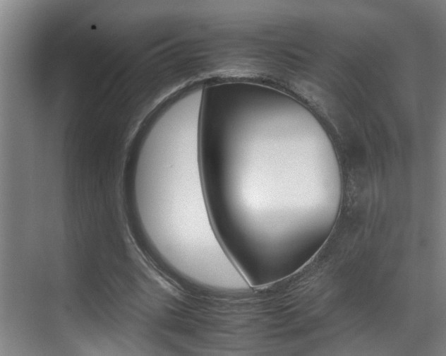 X0000070410535200606090958