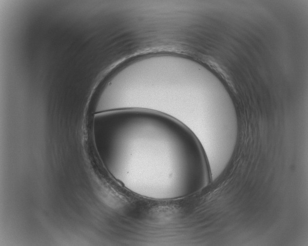 X0000070410536200606090958