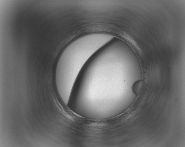 X0000070410537200606090958