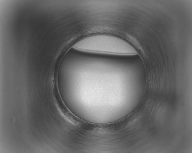 X0000070410538200606090958