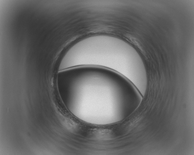 X0000070410539200606090958