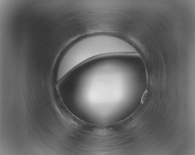 X0000070410540200606090958