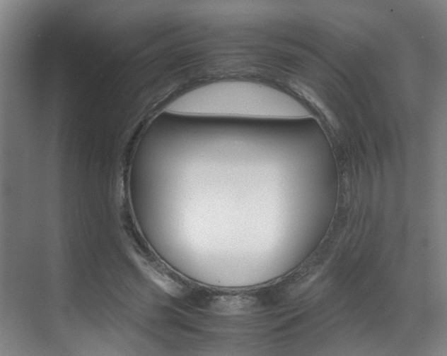 X0000070410541200606090958