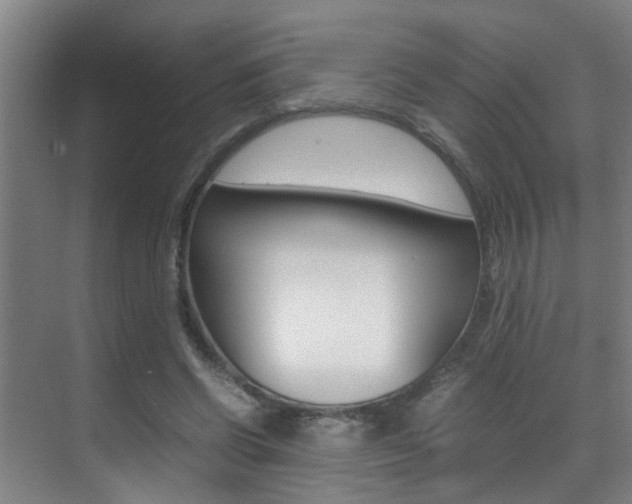 X0000070410542200606090958