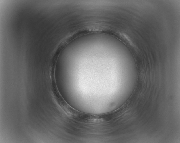 X0000070410543200606090958