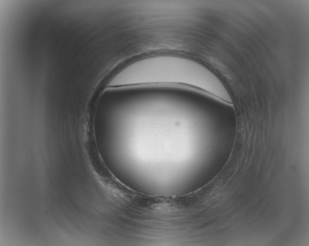 X0000070410544200606090958