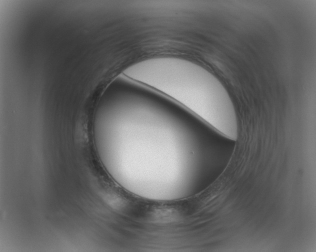 X0000070410547200606090958