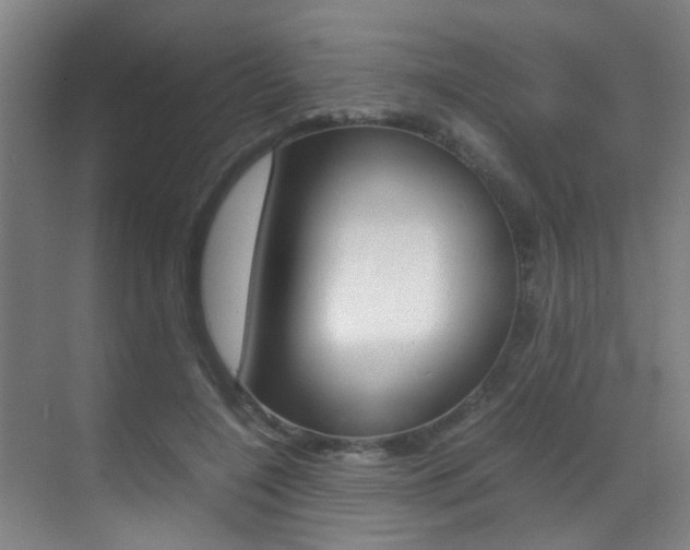 X0000070410548200606090958