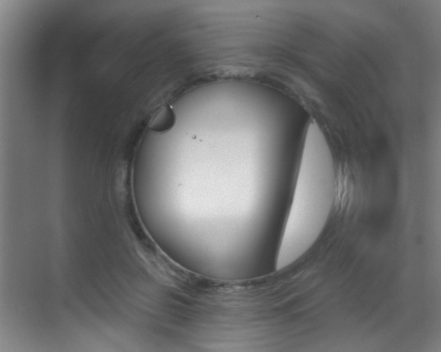 X0000070410550200606090958