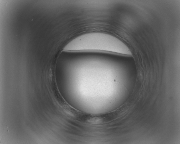 X0000070410551200606090958